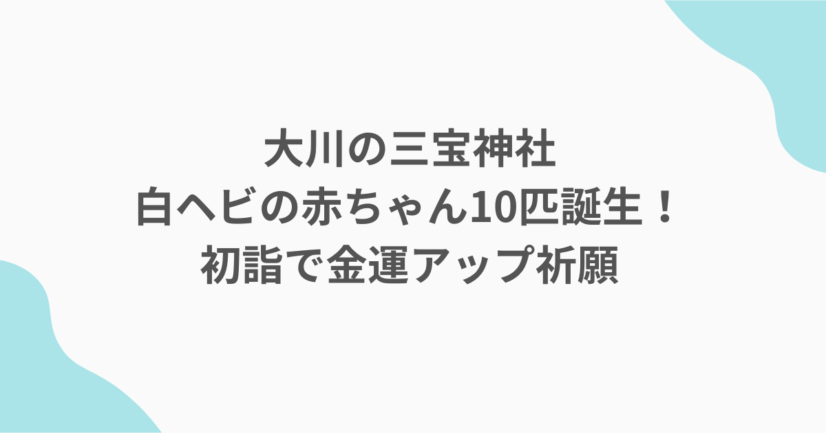 大川の三宝神社白ヘビの赤ちゃん10匹誕生！初詣で金運アップ祈願